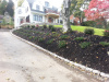 Landscape design